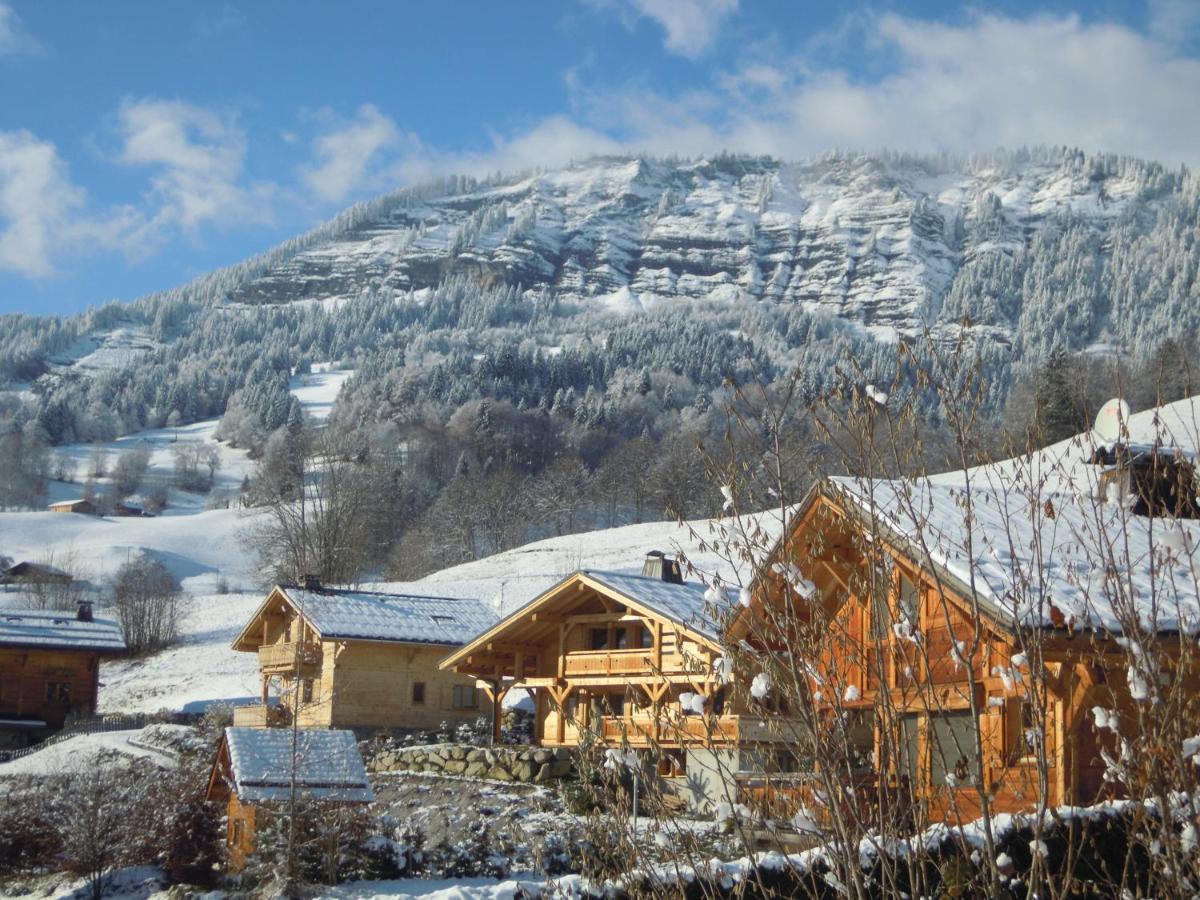 A4 Km De Megeve Tres Joli Studio Avec Jacuzzi ,Vue Sur Les Montagnes Au Calme Praz-sur-Arly Exterior foto